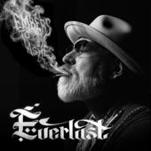 hit download Embers to Ashes    Everlast