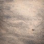 hit download Ma bene    Gio Evan