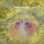 hit download Live in the Chapel (Live) - EP    Cosmo Sheldrake