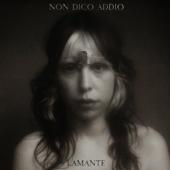 hit download Non Dico Addio    Lamante