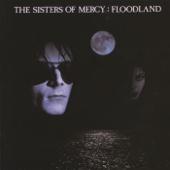 hit download Floodland (Deluxe Version)    The Sisters of Mercy
