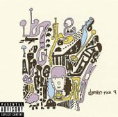 hit download 9    Damien Rice
