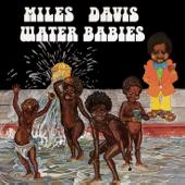 hit download Water Babies    Miles Davis