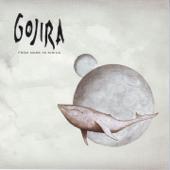 hit download From Mars to Sirius    GOJIRA