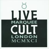 hit download Live Cult: Marquee London MCMXCI    The Cult