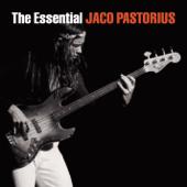 hit download The Essential Jaco Pastorius    Jaco Pastorius