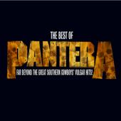 hit download The Best of Pantera: Far Beyond the Great Southern Cowboys  Vulgar Hits! (Remastered)    Pantera