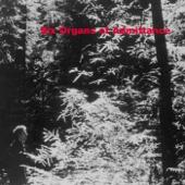 hit download Six Organs of Admittance    Six Organs of Admittance