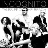 hit download N.O.T.    Incognito