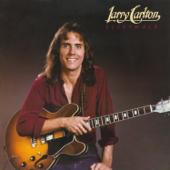 hit download Sleepwalk    Larry Carlton