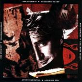 hit download Rhythm of My Heart    Rod Stewart