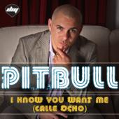 dancealbum-top Pitbull I Know You Want Me (Calle Ocho) - EP