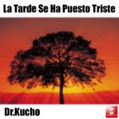 hit download La Tarde Se Ha Puesto Triste    Dr. Kucho!