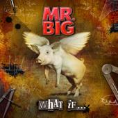 hit download What If. . . (Bonus Version)    Mr. Big