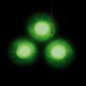hit download Chaos Theory    Amon Tobin
