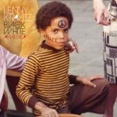 hit download Black and White America (Deluxe Version)    Lenny Kravitz