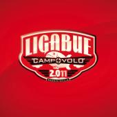 hit download Campovolo 2.011 (Live)    Ligabue