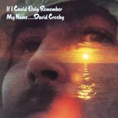 hit download If I Could Only Remember My Name    David Crosby
