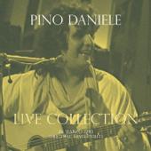 hit download Concerto Live @ RSI (Live 26 Marzo 1983)    Pino Daniele