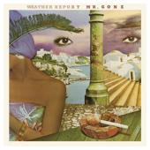 hit download Mr. Gone    Weather Report