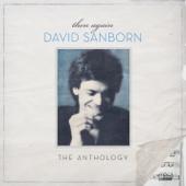 hit download Then Again: The Anthology    David Sanborn