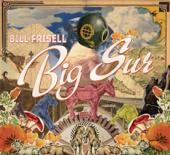 hit download Big Sur    Bill Frisell