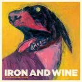 hit download Flightless Bird, American Mouth    Iron & Wine