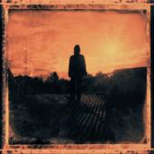 hit download Grace for Drowning (Deluxe Version)    Steven Wilson