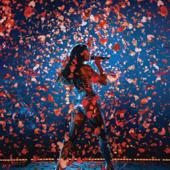 hit download Dua Lipa - Live From Mexico    Dua Lipa