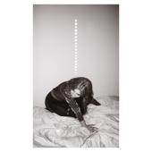 hit download Materia    Julia Holter