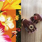 hit download What Does It Take to Bloom?    Somi