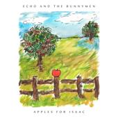 hit download Apples For Isaac    Echo & The Bunnymen