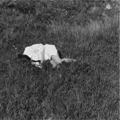 hit download Wild Love    Nina Winder-Lind