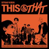 hit download This & That    Stray Kids