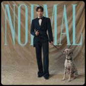 hit download NORMAL (MV Still Alternate Cover Jung Kook Version)    BTS