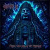 hit download FROM THE BELLY OF FROMAN    SCRAPING BI