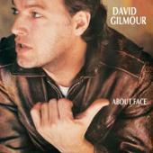 hit download About Face    David Gilmour