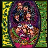 hit download Acid Eaters    Ramones