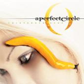 hit download Thirteenth Step    A Perfect Circle