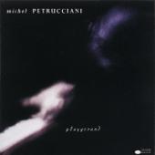 hit download Playground (with Adam Holzman)    Michel Petrucciani