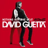 dancealbum-top David Guetta Nothing But the Beat Ultimate