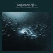 hit download Anjunadeep 05 (Unmixed & Dj Ready)    Jody Wisternoff & James Grant