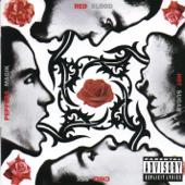 hit download Under the Bridge    Red Hot Chili Peppers