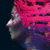 hit download Hand. Cannot. Erase.    Steven Wilson