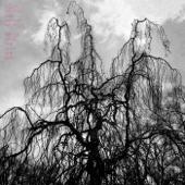 hit download Never Were the Way She Was    Colin Stetson & Sarah Neufeld